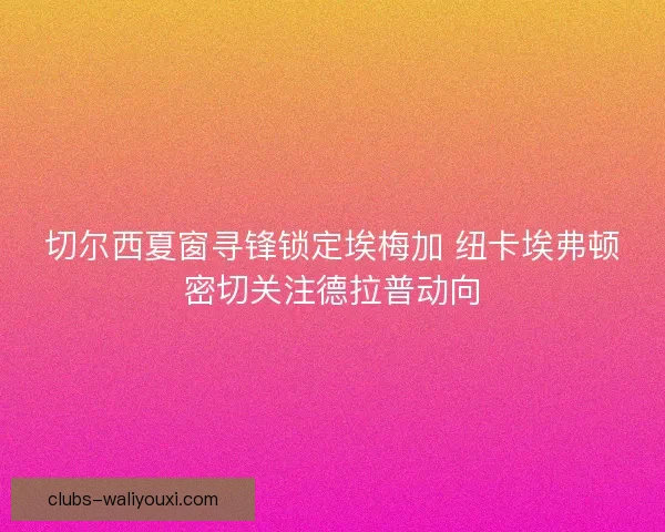 切尔西夏窗寻锋锁定埃梅加 纽卡埃弗顿密切关注德拉普动向